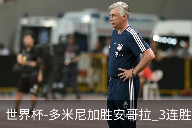 世界杯-多米尼加胜安哥拉 3连胜小组第一晋级