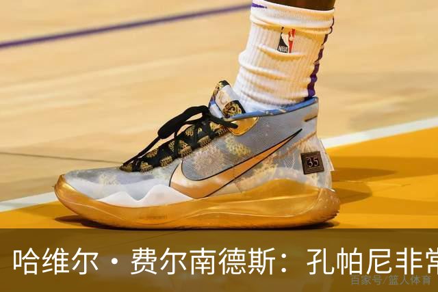哈维尔·费尔南德斯：孔帕尼非常重视青训 基米希的斗志令人难忘