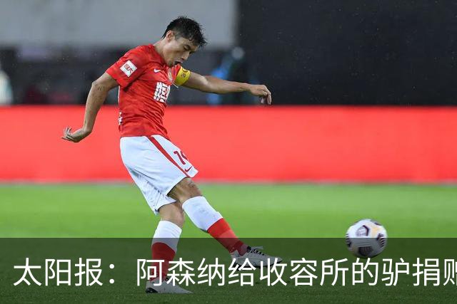 太阳报：阿森纳给收容所的驴捐赠40双球袜，保护它们腿部免受感染