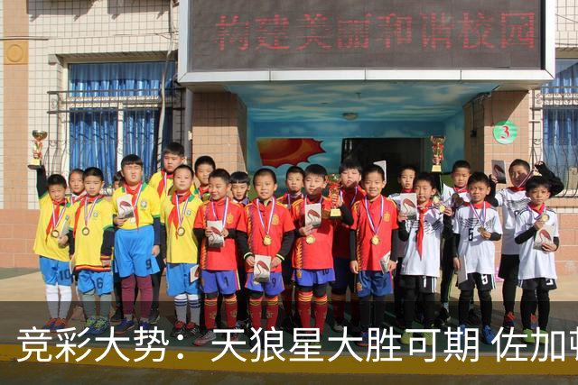 竞彩大势：天狼星大胜可期 佐加顿斯客场凯旋