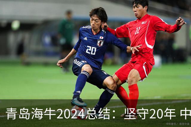 青岛海牛2024总结：坚守20年 中能的拼争与困境